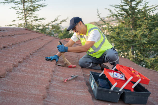 Best Residential Roof Replacement  in Energy, IL
