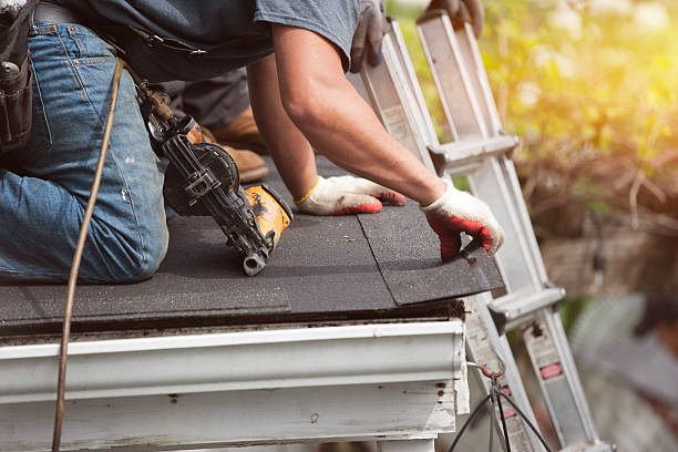 Best Roof Gutter Cleaning  in Energy, IL