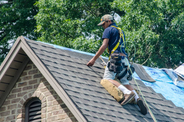 Best Flat Roof Repair Services  in Energy, IL